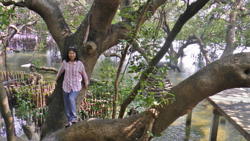 Mangroven-Park
