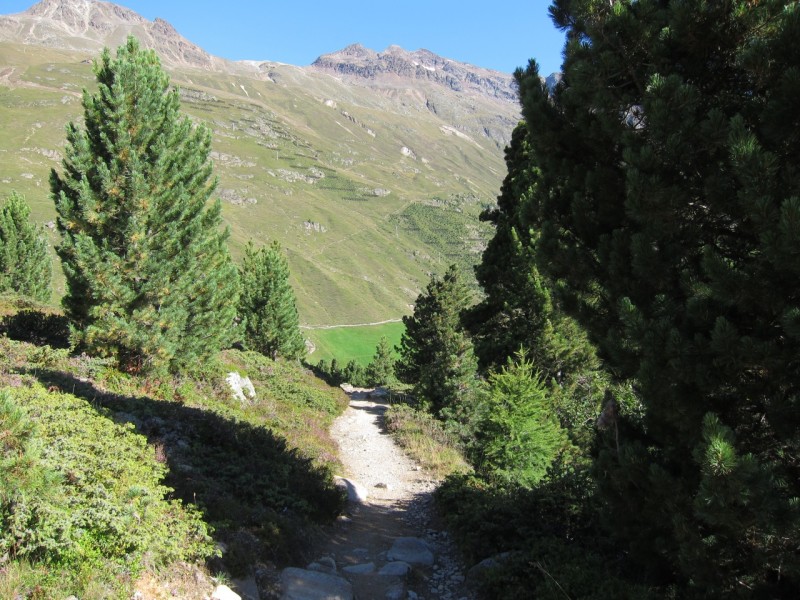 Martin-Busch-H�tte - Vent
