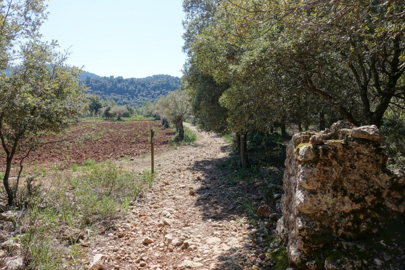 Massanella �berschreitung