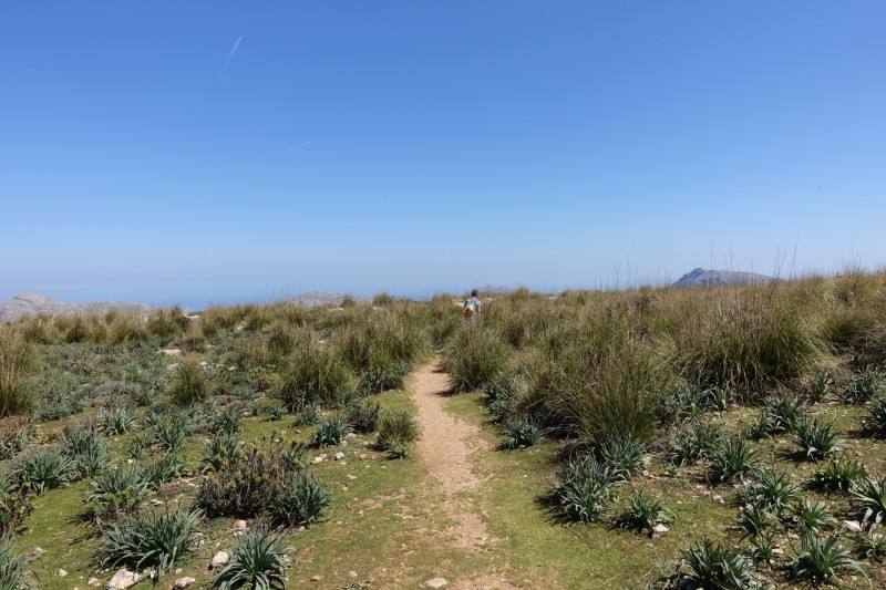 Massanella �berschreitung