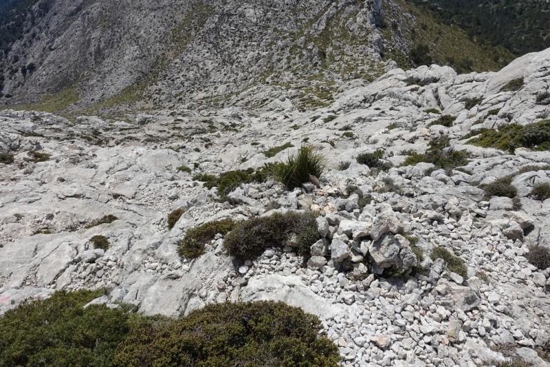 Massanella �berschreitung