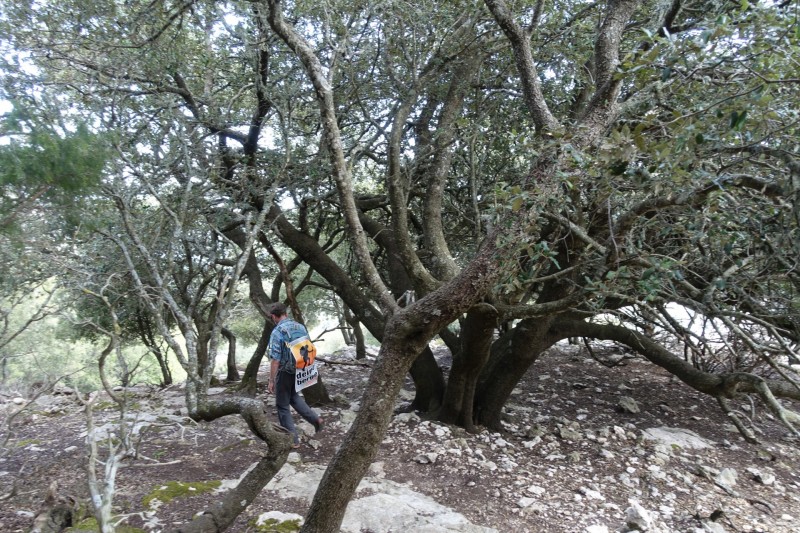 Massanella �berschreitung