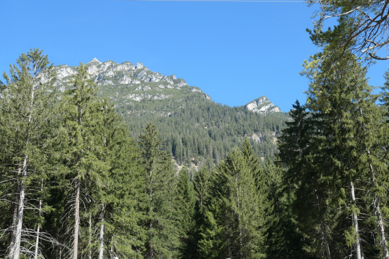 Maximiliansh�he - Pfade am Kramer