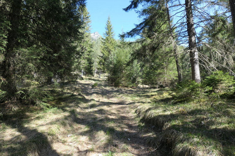 Maximiliansh�he - Pfade am Kramer