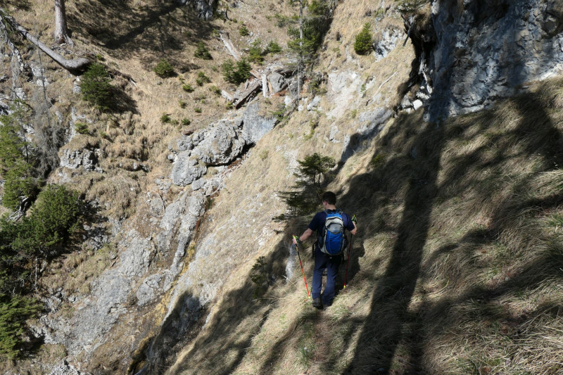 Maximiliansh�he - Pfade am Kramer