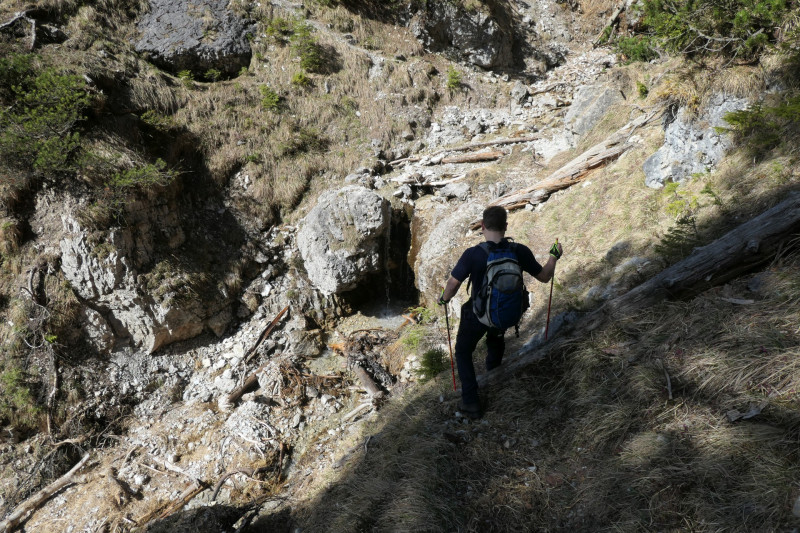 Maximiliansh�he - Pfade am Kramer