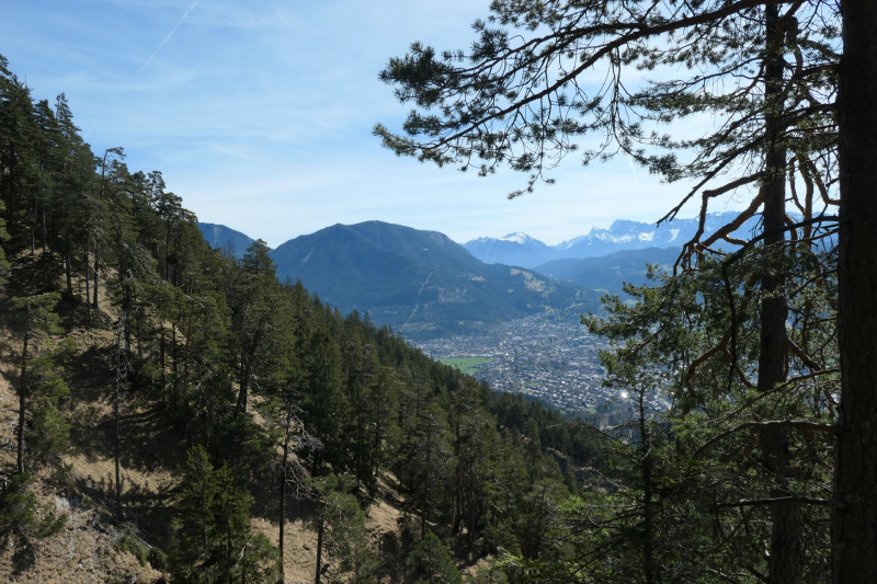 Maximiliansh�he - Pfade am Kramer