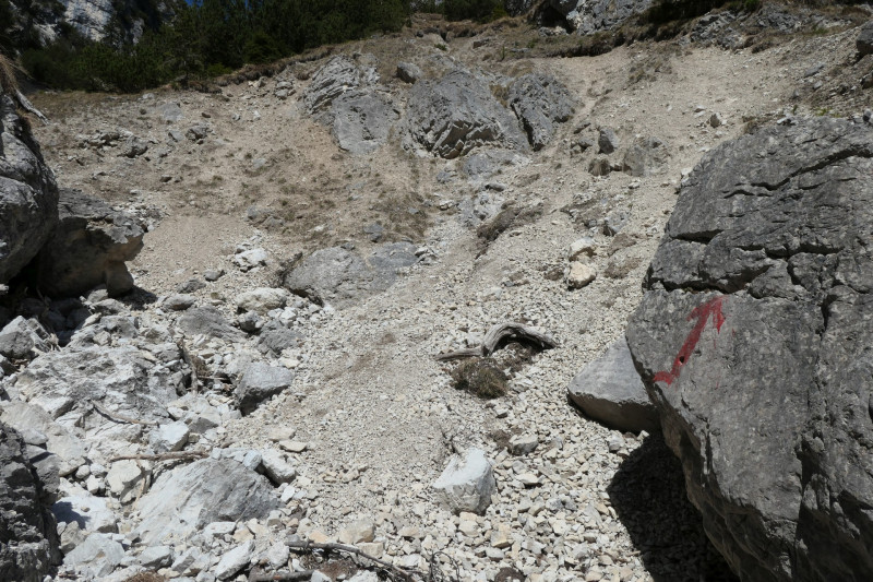 Maximiliansh�he - Pfade am Kramer