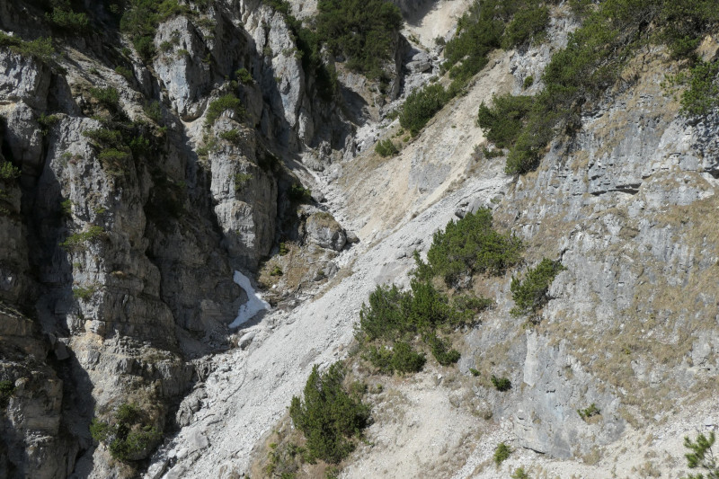 Maximiliansh�he - Pfade am Kramer