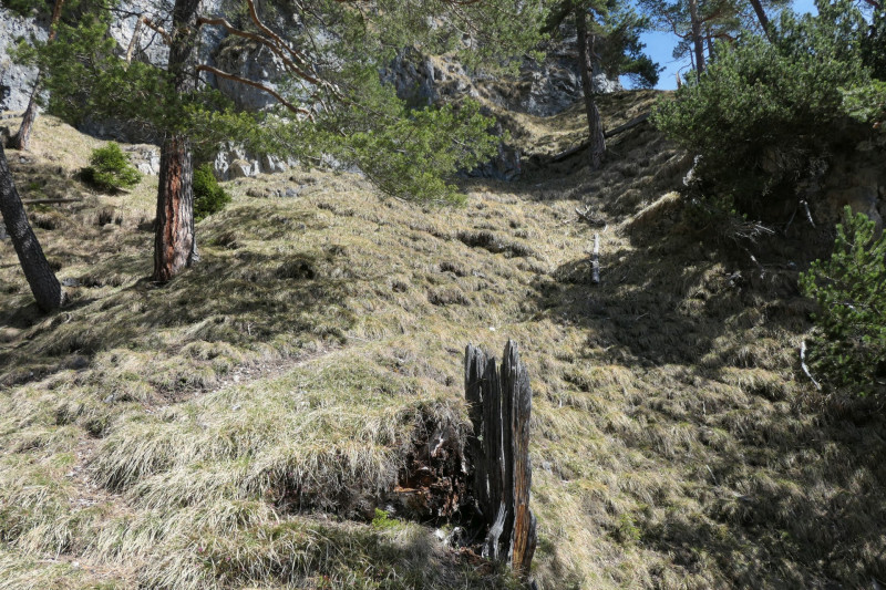 Maximiliansh�he - Pfade am Kramer