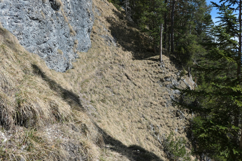 Maximiliansh�he - Pfade am Kramer