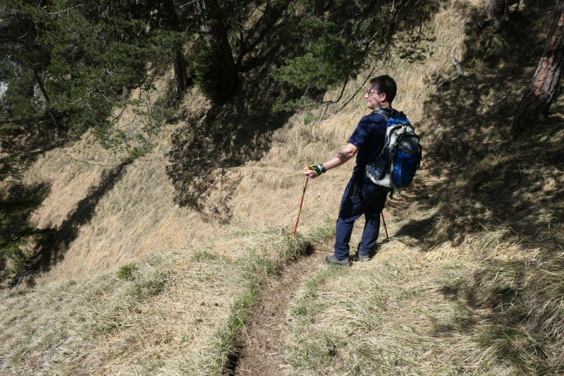 Maximiliansh�he - Pfade am Kramer