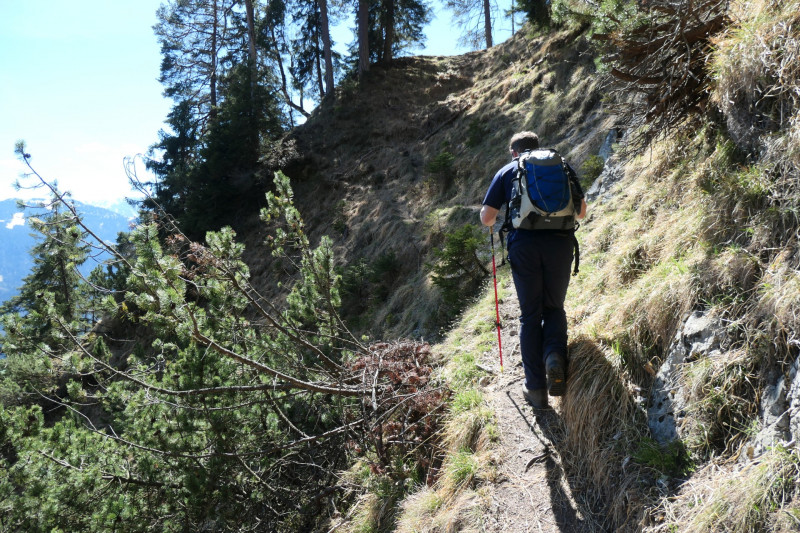 Maximiliansh�he - Pfade am Kramer