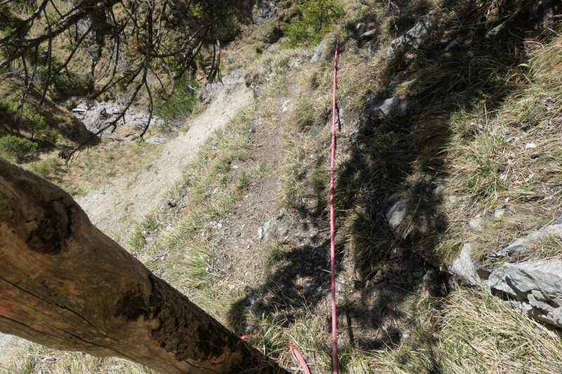 Maximiliansh�he - Pfade am Kramer