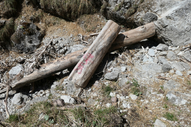 Maximiliansh�he - Pfade am Kramer