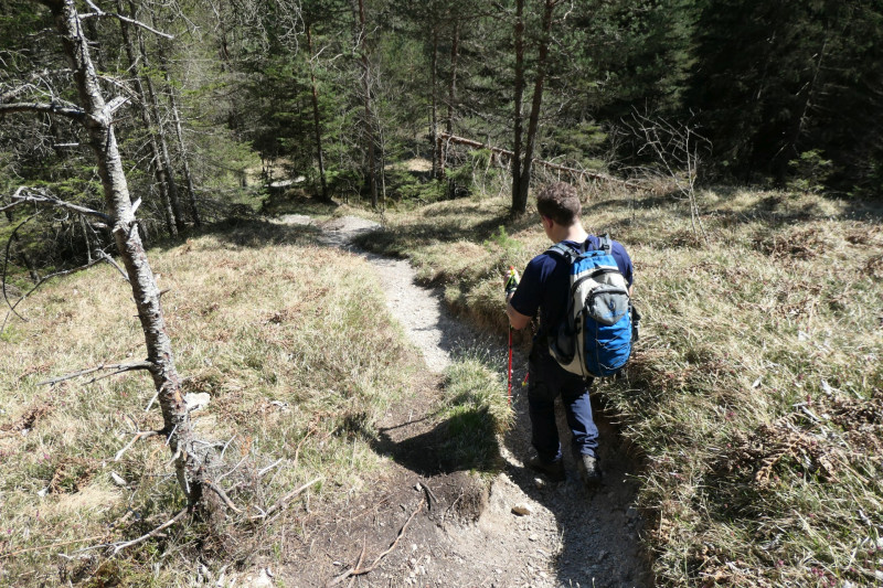 Maximiliansh�he - Pfade am Kramer