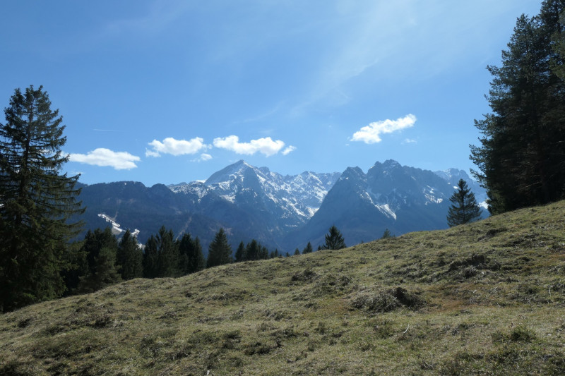 Maximiliansh�he - Pfade am Kramer