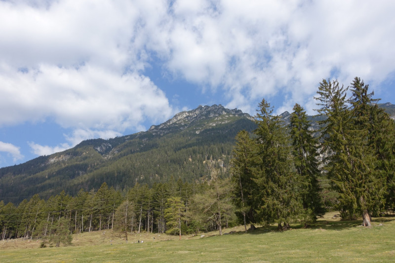 Maximilianshhe - Stepbergalm - Kramer - Kramersteig - St- Martin - Maximilianshhe