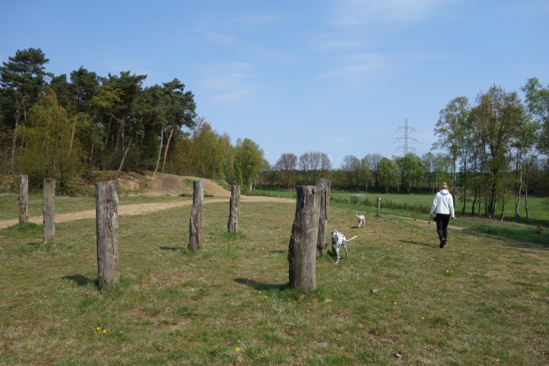 Meinvennen Variation