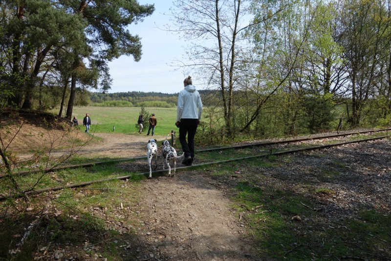 Meinvennen Variation