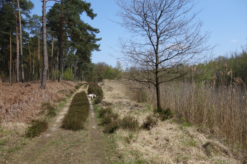 Meinvennen Variation