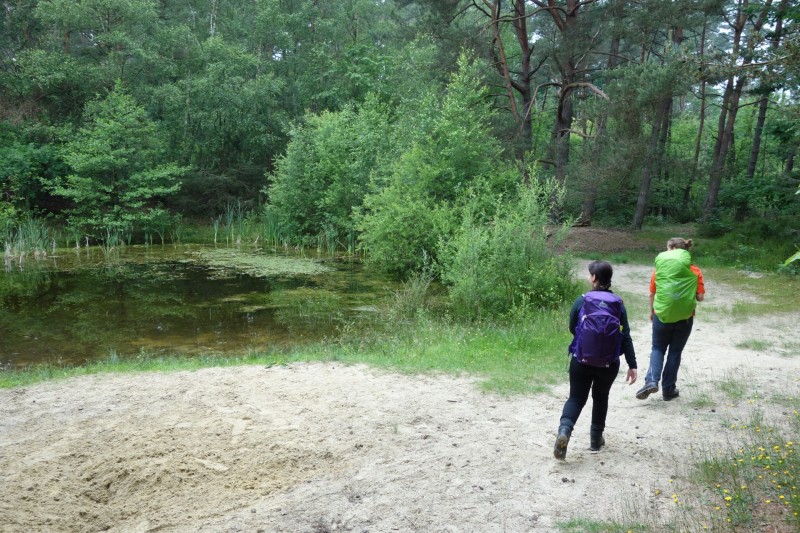 Meinweg mittlere Runde