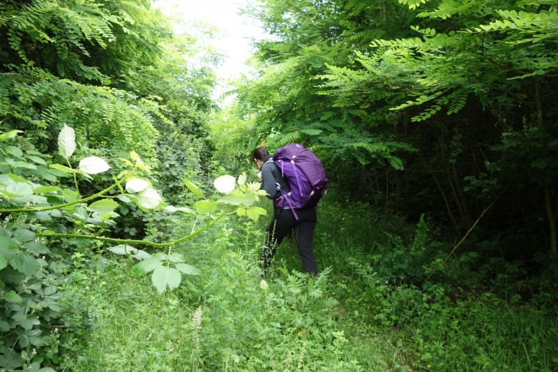 Meinweg mittlere Runde