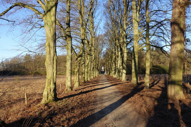 Meinweg mittlere Runde