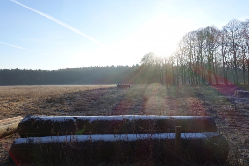 Meinweg mittlere Runde