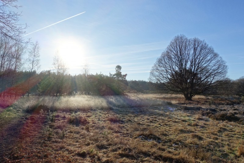 Meinweg mittlere Runde