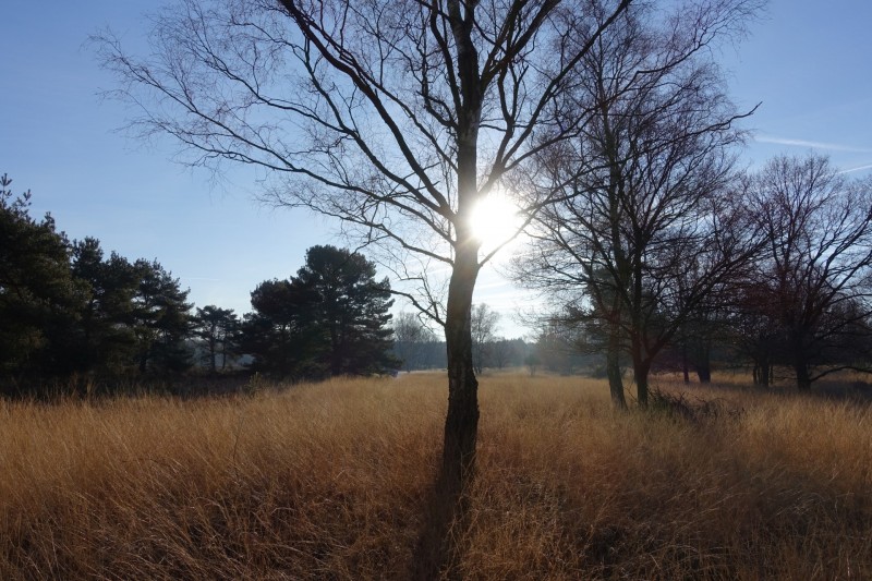 Meinweg mittlere Runde