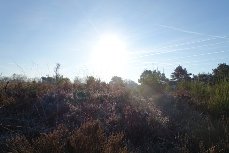 Meinweg mittlere Runde