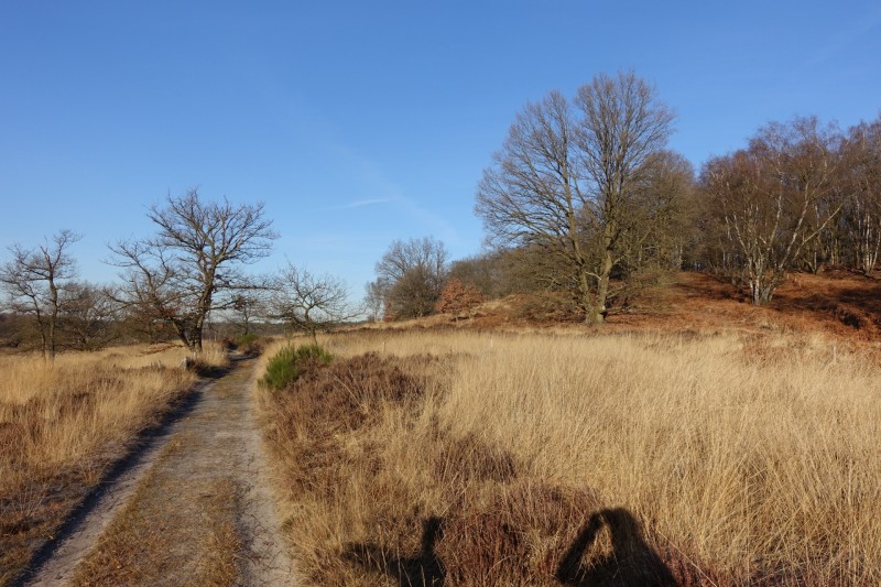 Meinweg mittlere Runde