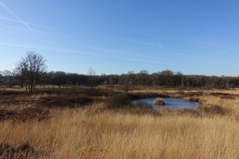 Meinweg mittlere Runde