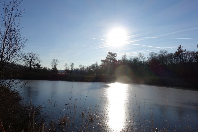 Meinweg mittlere Runde
