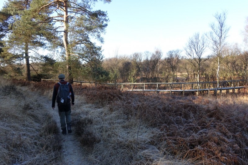Meinweg mittlere Runde