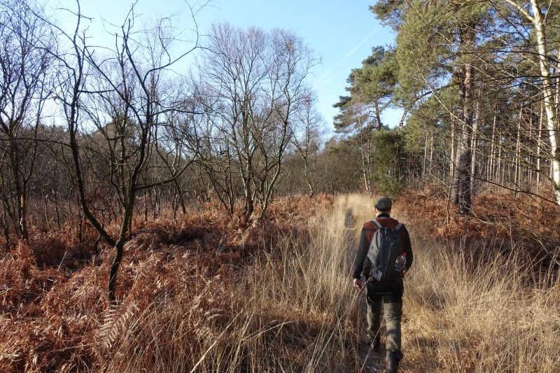 Meinweg mittlere Runde