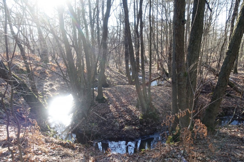 Meinweg mittlere Runde