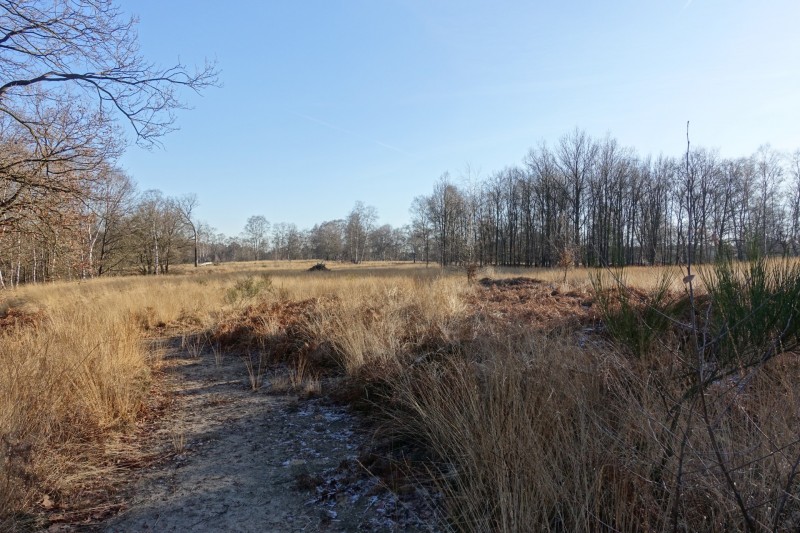 Meinweg mittlere Runde