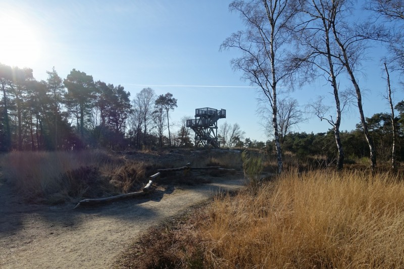 Meinweg mittlere Runde