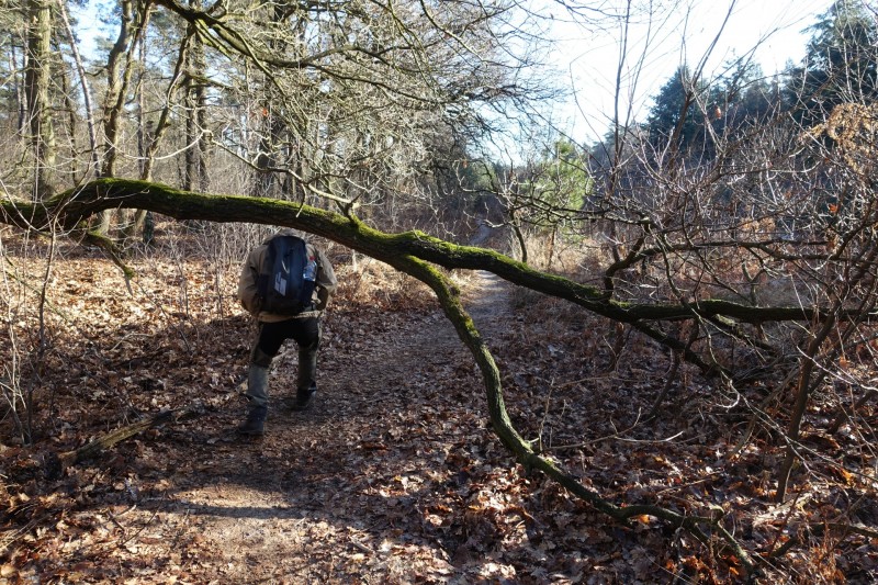 Meinweg mittlere Runde