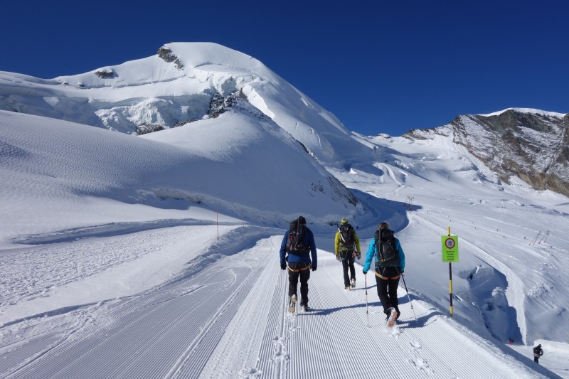 Mittel-Allalin - Allalinhorn - Mittel-Allalin
