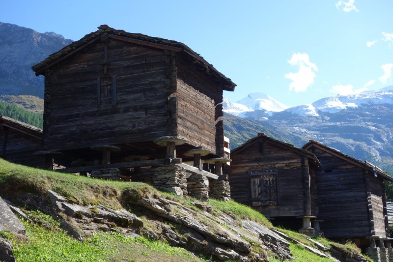 Mittel-Allalin - Allalinhorn - Mittel-Allalin