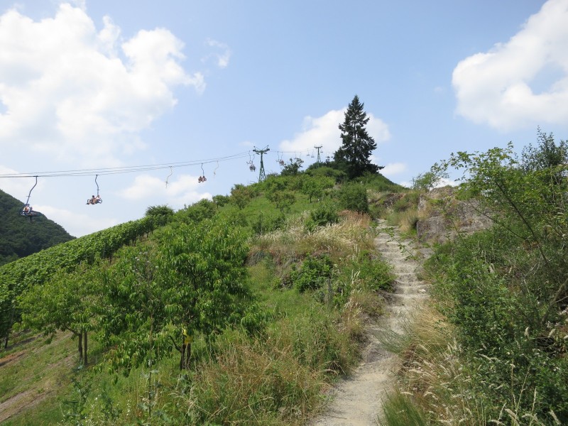 Mittelrheinsteig Klettersteig Boppard