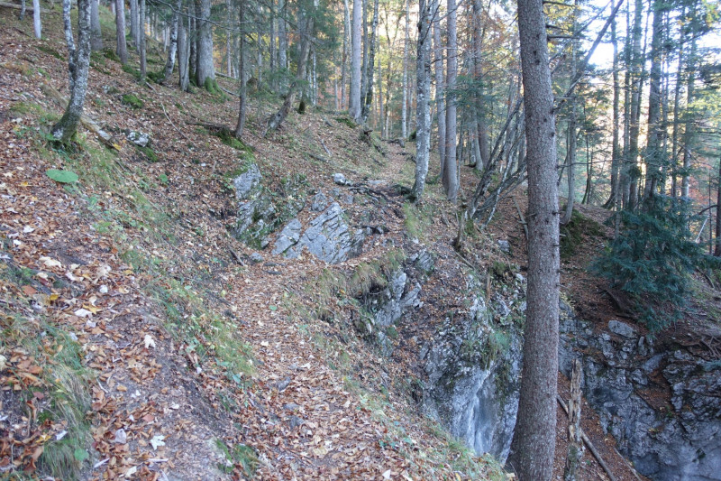 Mittenwald - Kaffee Plateau - Obere Wettersteinspitze - Ferchensee - Lautersee - Mittenwald