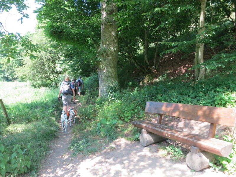 Monrealer Ritterschlag (Gegenrichtung)