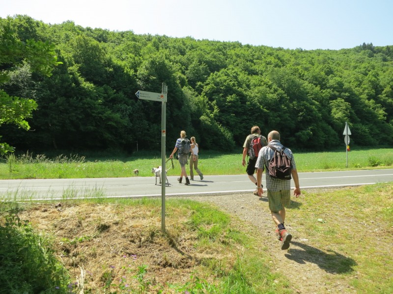 Monrealer Ritterschlag (Gegenrichtung)