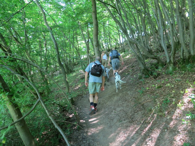 Monrealer Ritterschlag (Gegenrichtung)