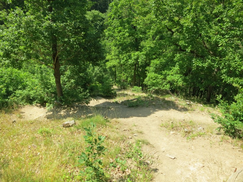 Monrealer Ritterschlag (Gegenrichtung)