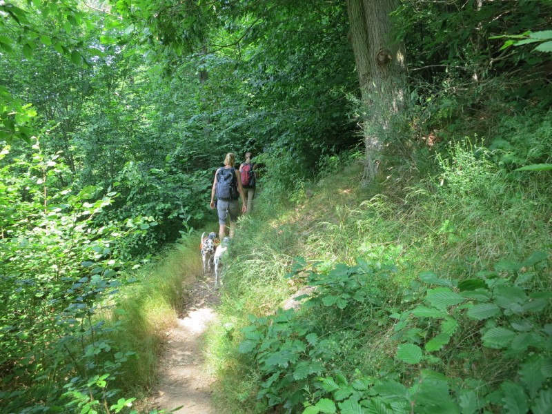 Monrealer Ritterschlag (Gegenrichtung)